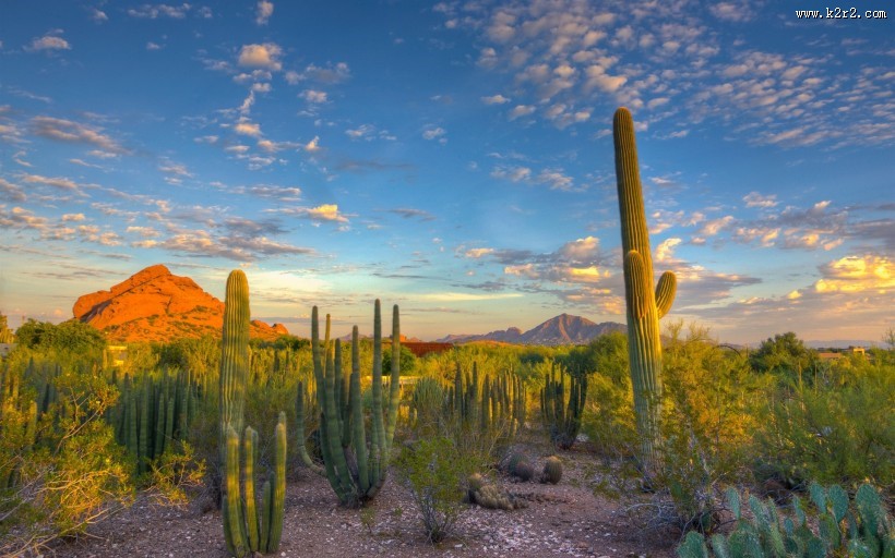 沙漠风景图片大全