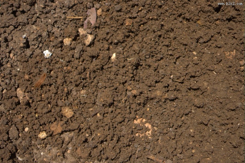 地面土壤图片大全