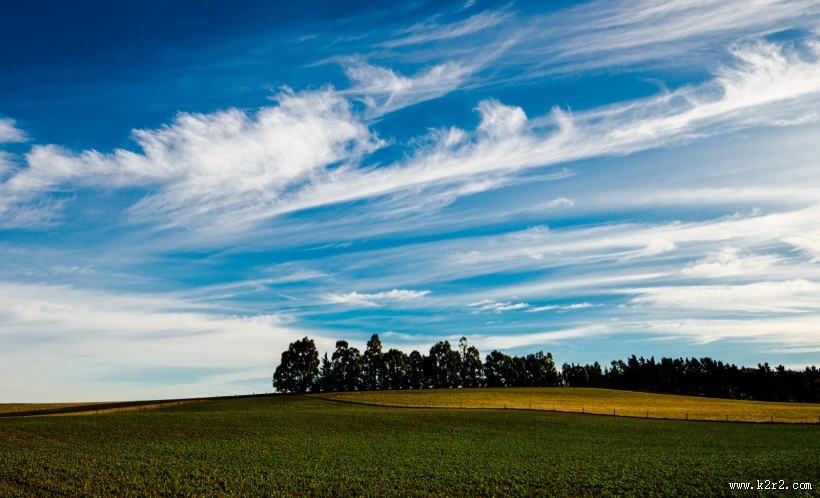 风吹麦浪风景图片