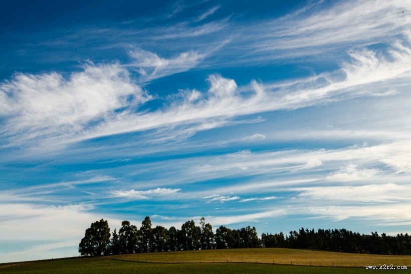 风吹麦浪风景图片