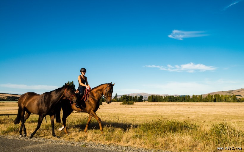 风吹麦浪风景图片
