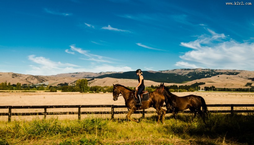 风吹麦浪风景图片