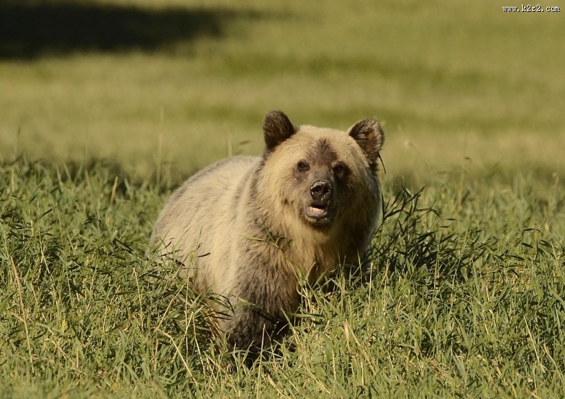 绝美的冰川国家公园图片大全