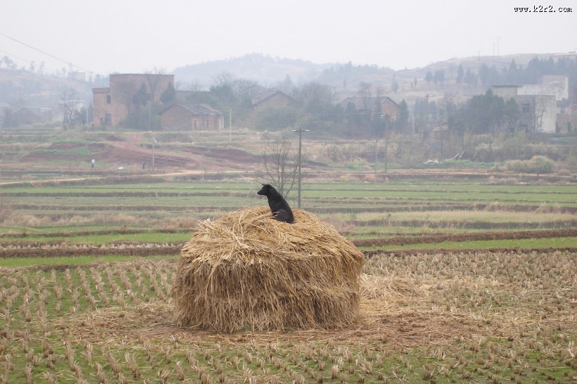草垛子风光图片