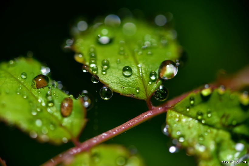 微世界风景图片