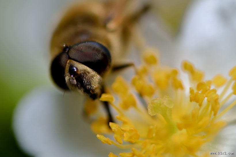 微世界风景图片