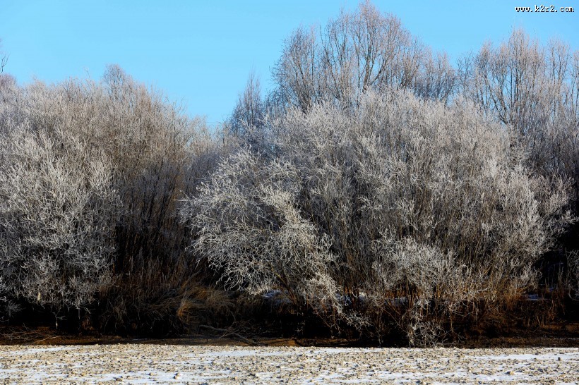 雾凇风景图片