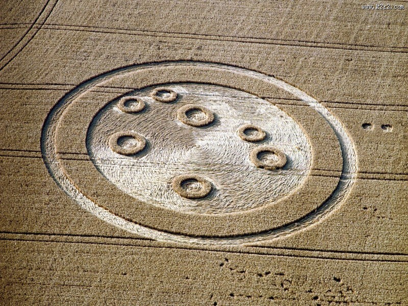 麦田怪圈图片