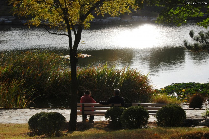 金黄色秋天风景图片