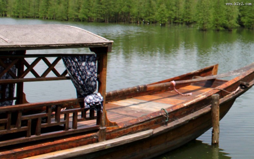 芦苇塘风景图片