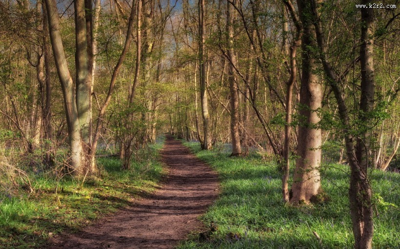 乡间小路风景图片大全