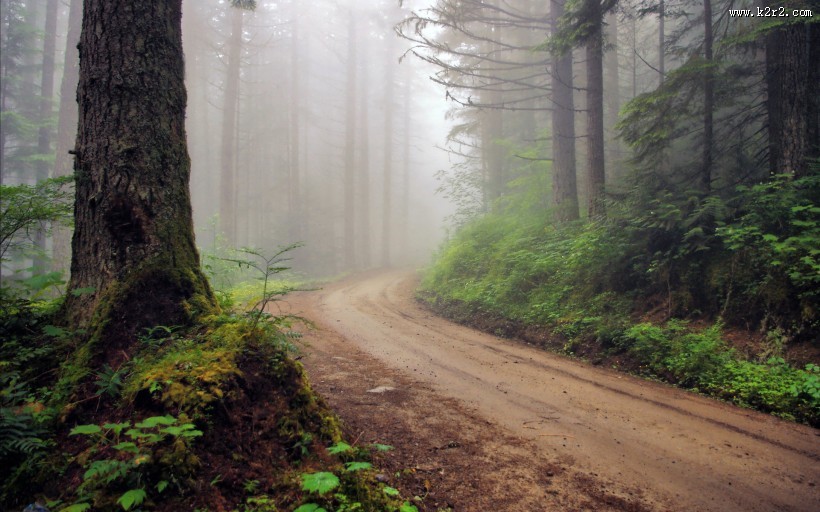 乡间小路风景图片大全