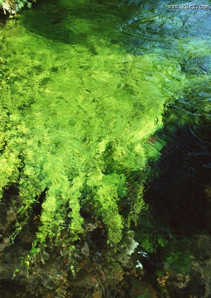 水中美丽风景图片大全