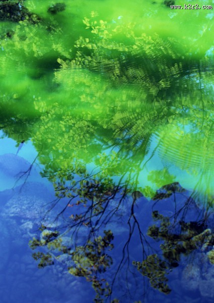 水中美丽风景图片大全
