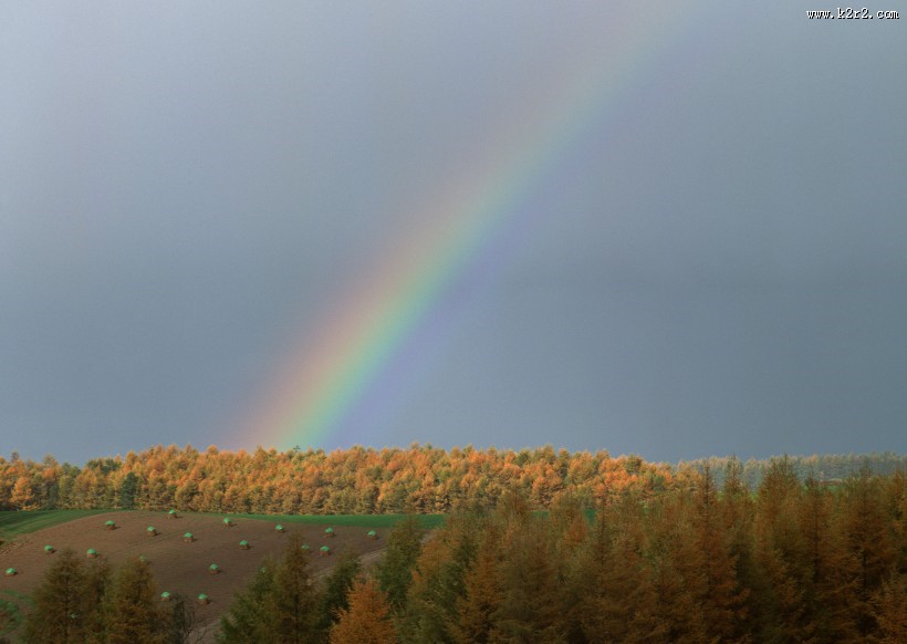 美丽彩虹图片
