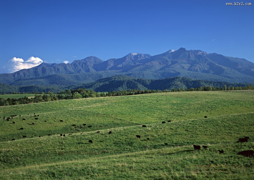 蓝天白云田地图片