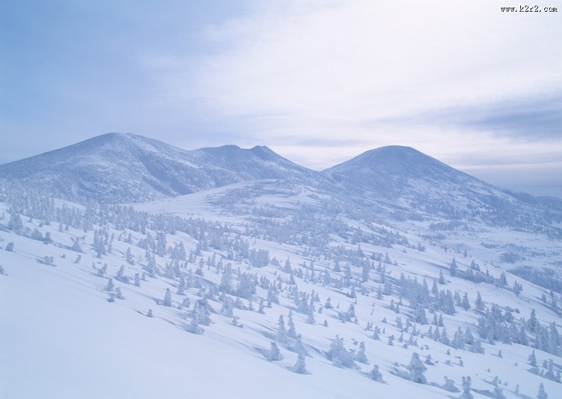 冬季树木河流风景图片