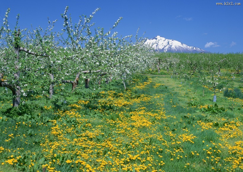 蓝天和湖水图片大全
