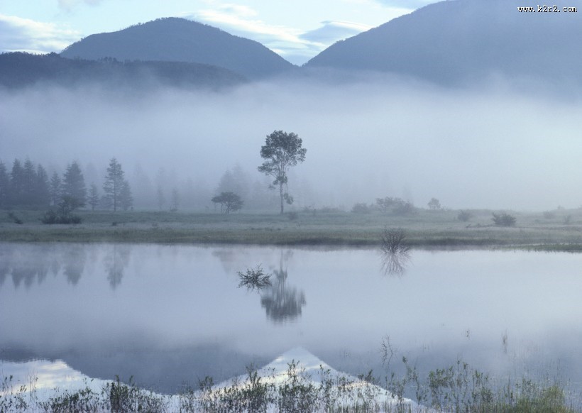 朦胧湖面倒影图片大全