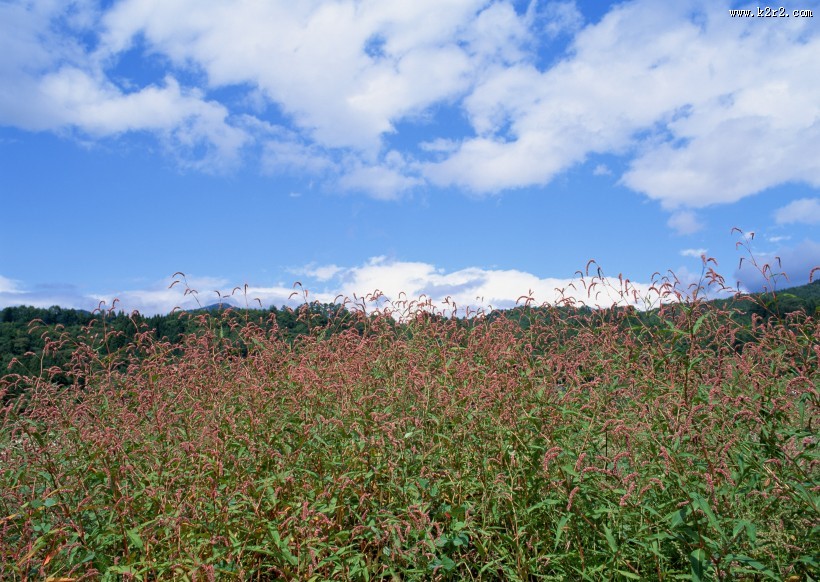 蓝天和湖水图片