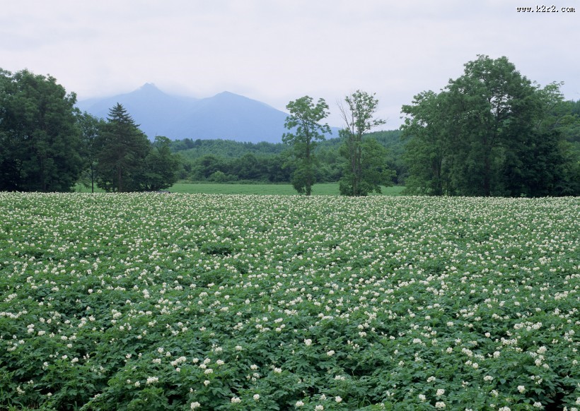 蓝天和湖水图片