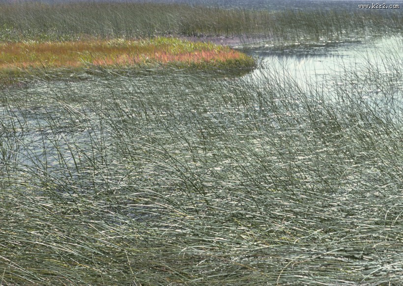 秋季红叶和湖水图片