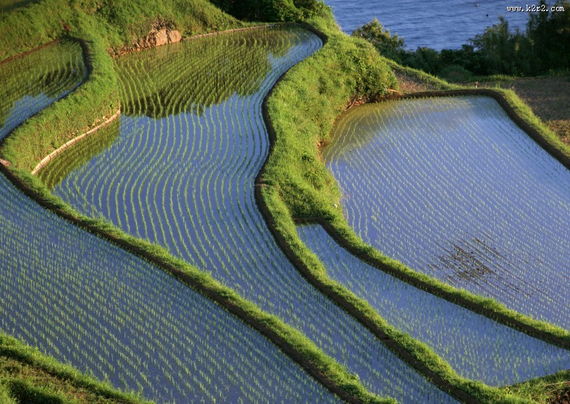 梯田图片