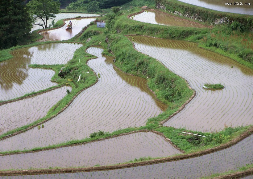 梯田图片