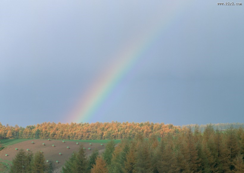 美丽的彩虹图片
