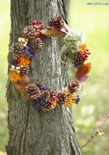 秋季花朵素材图片大全