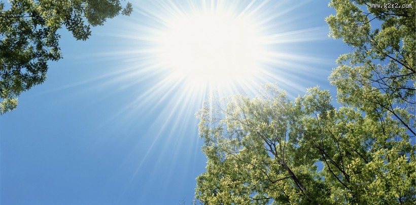 绿荫阳光图片
