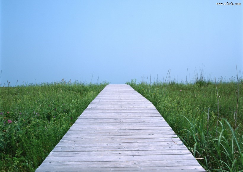 蓝天草地小路图片