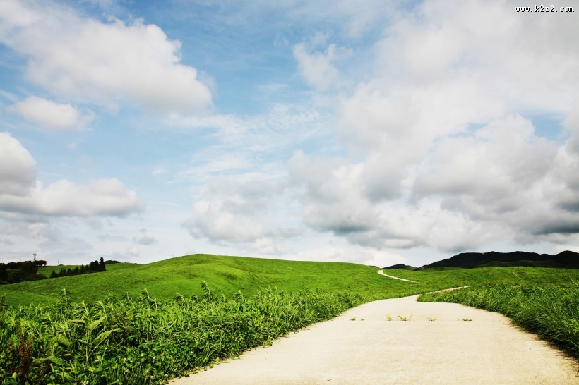 蓝天草地小路图片