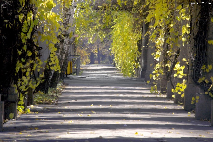 秋季马路图片
