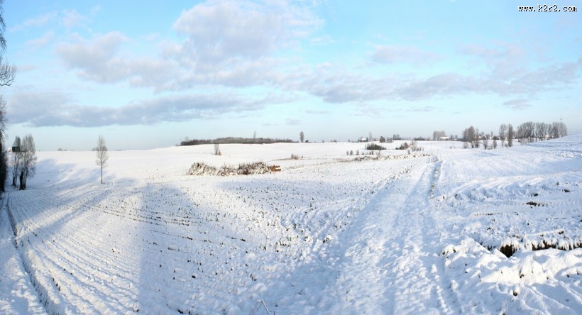 冬日雪景图片