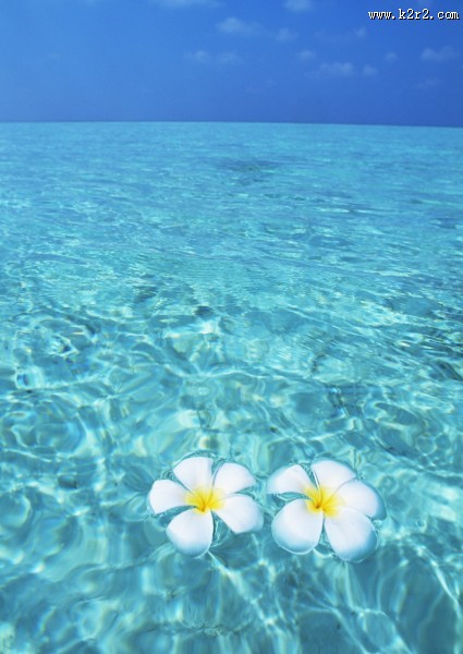 缤纷碧蓝的海滨图片