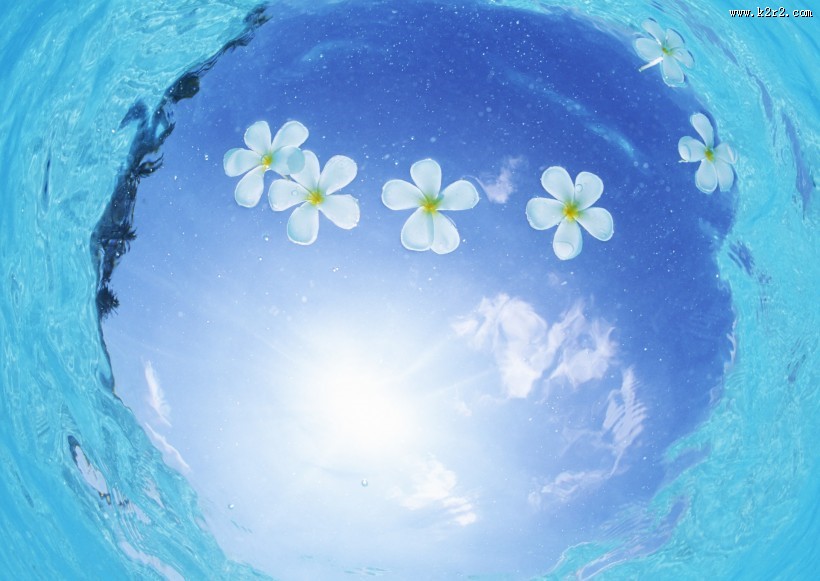 缤纷碧蓝的海滨图片