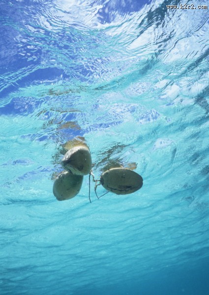 缤纷碧蓝的海滨图片