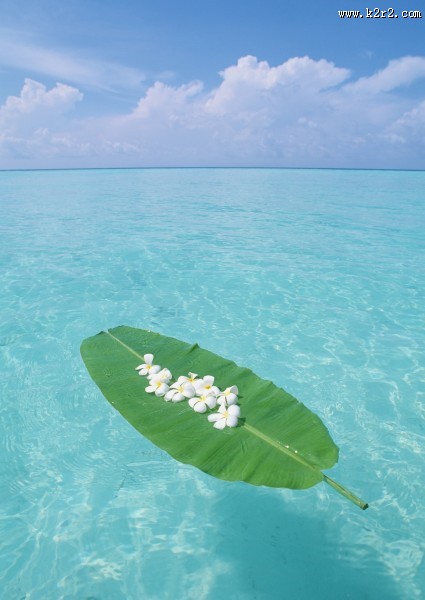 缤纷碧蓝的海滨图片