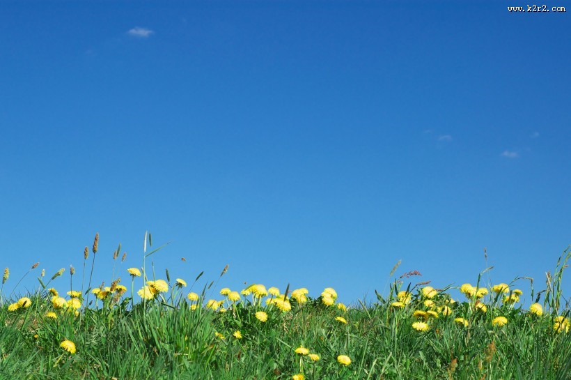 清新大自然图片