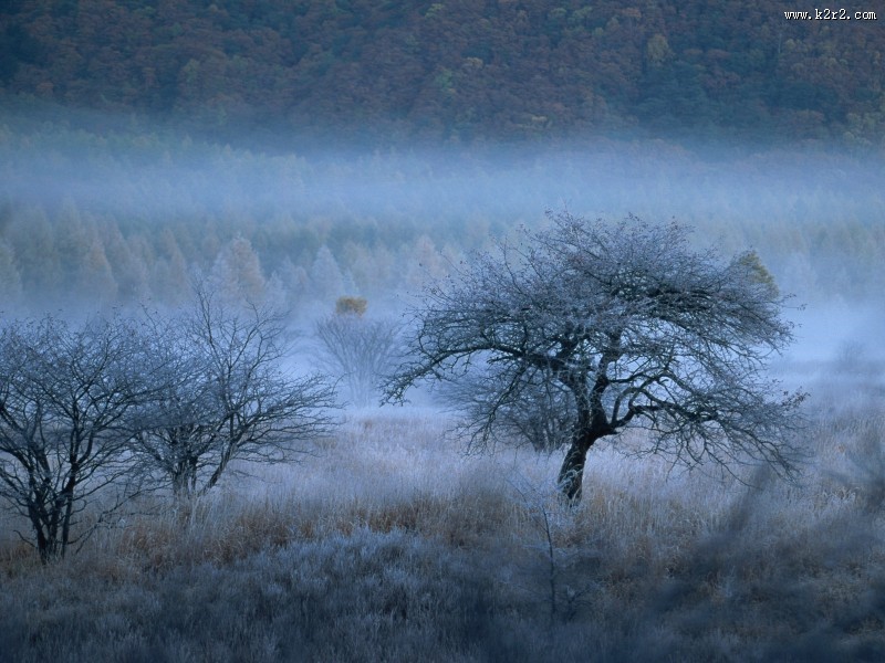 云雾缭绕自然风景图片