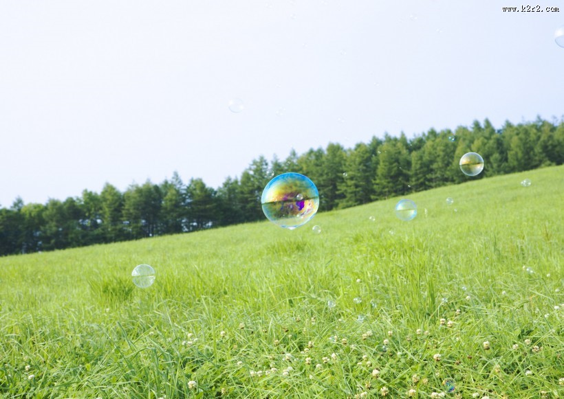 晴朗的天空和草地图片大全