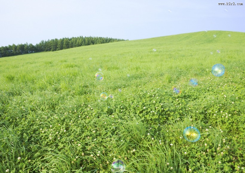 晴朗的天空和草地图片大全