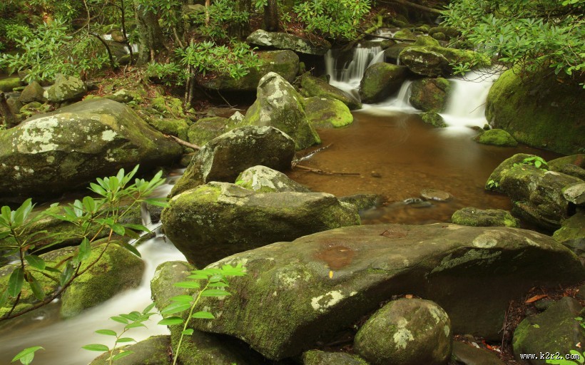 溪流图片大全