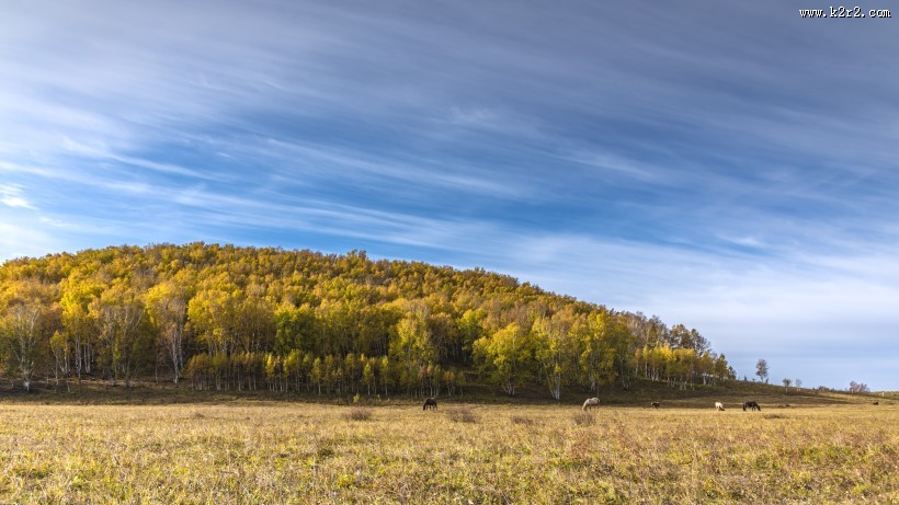 乌兰布统草原秋天自然风景图片