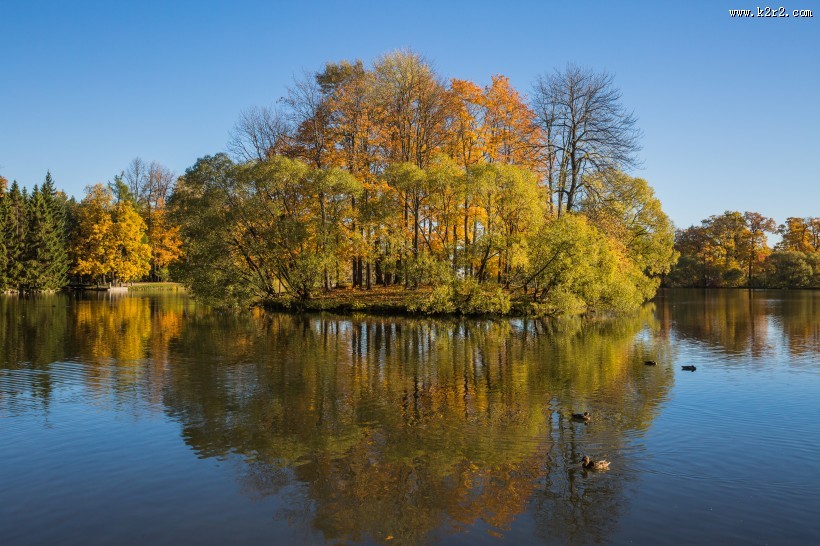 俄罗斯园林园林唯美秋季风景图片
