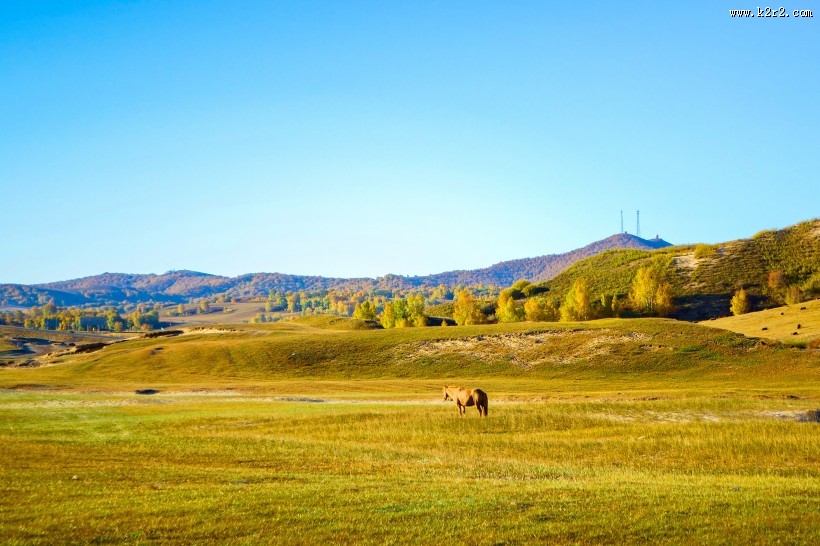 内蒙古自治区乌兰布统秋季风景图片
