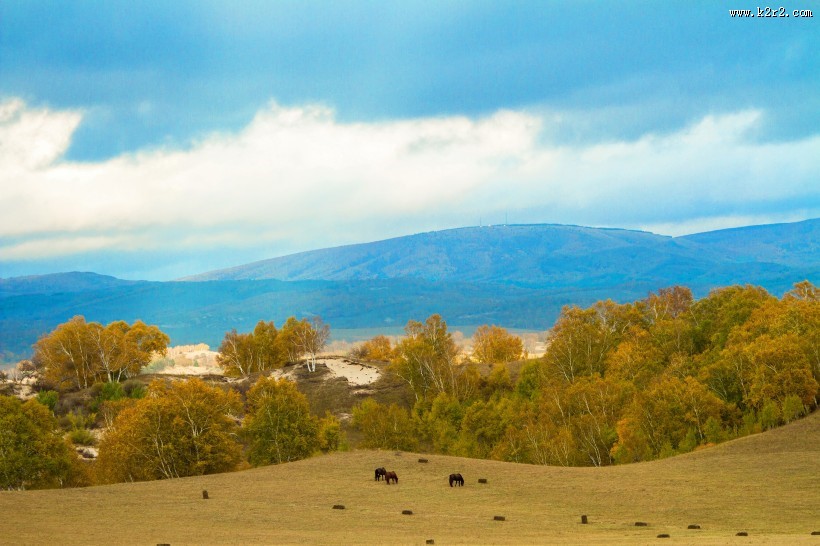内蒙古自治区乌兰布统秋季风景图片