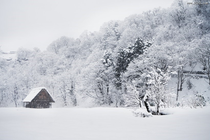 日本白川乡雪景风景图片