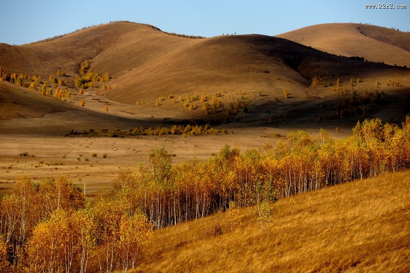 唯美内蒙古坝上草原秋季风景图片